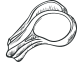 shape-img